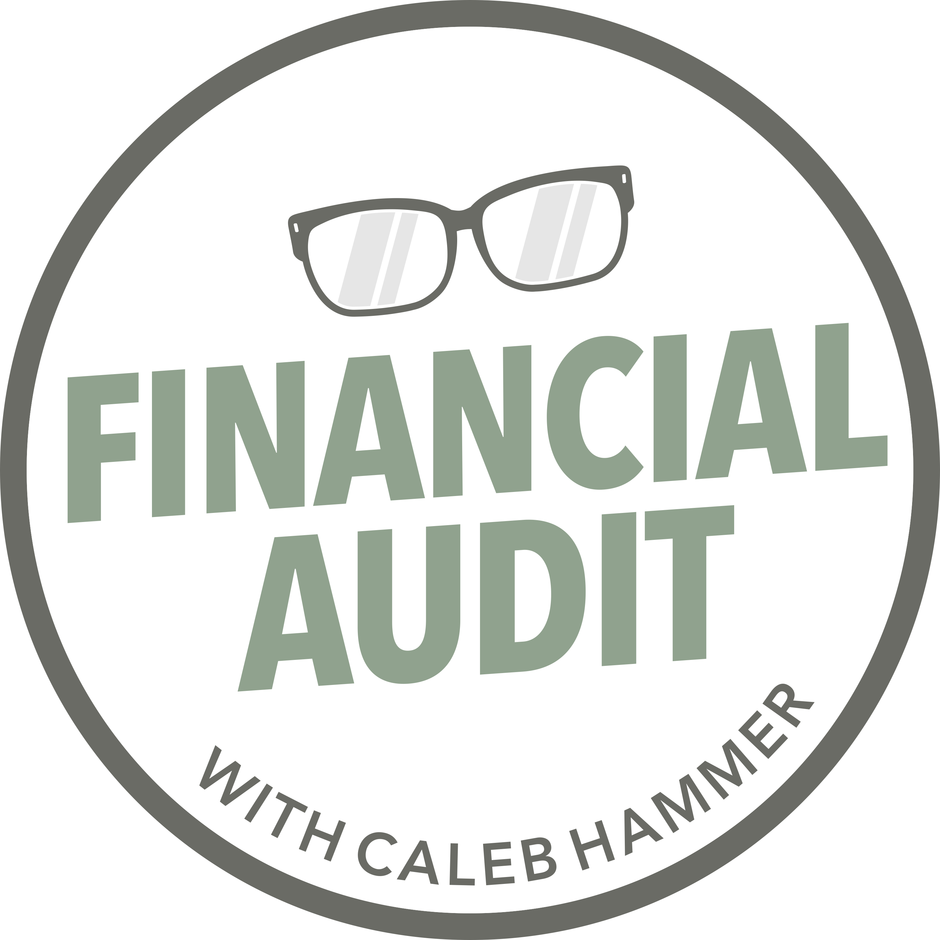 Financial-Audit-(Logo-Transparent1)